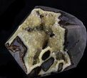 Crystal Filled Septarian Geode - Utah #33093-2